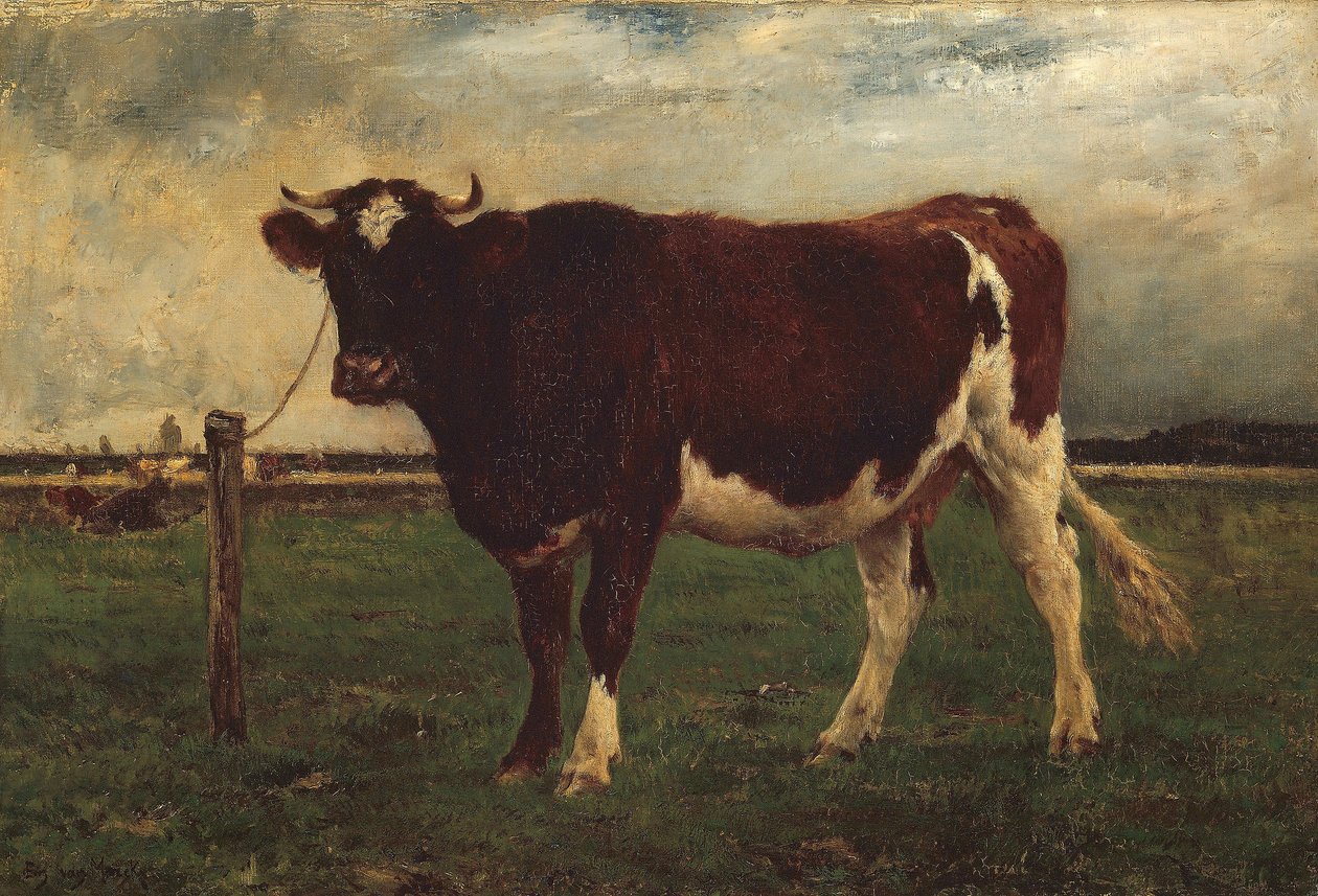 Studie af en ko, 1870?90 af Emile van Marcke de Lummen