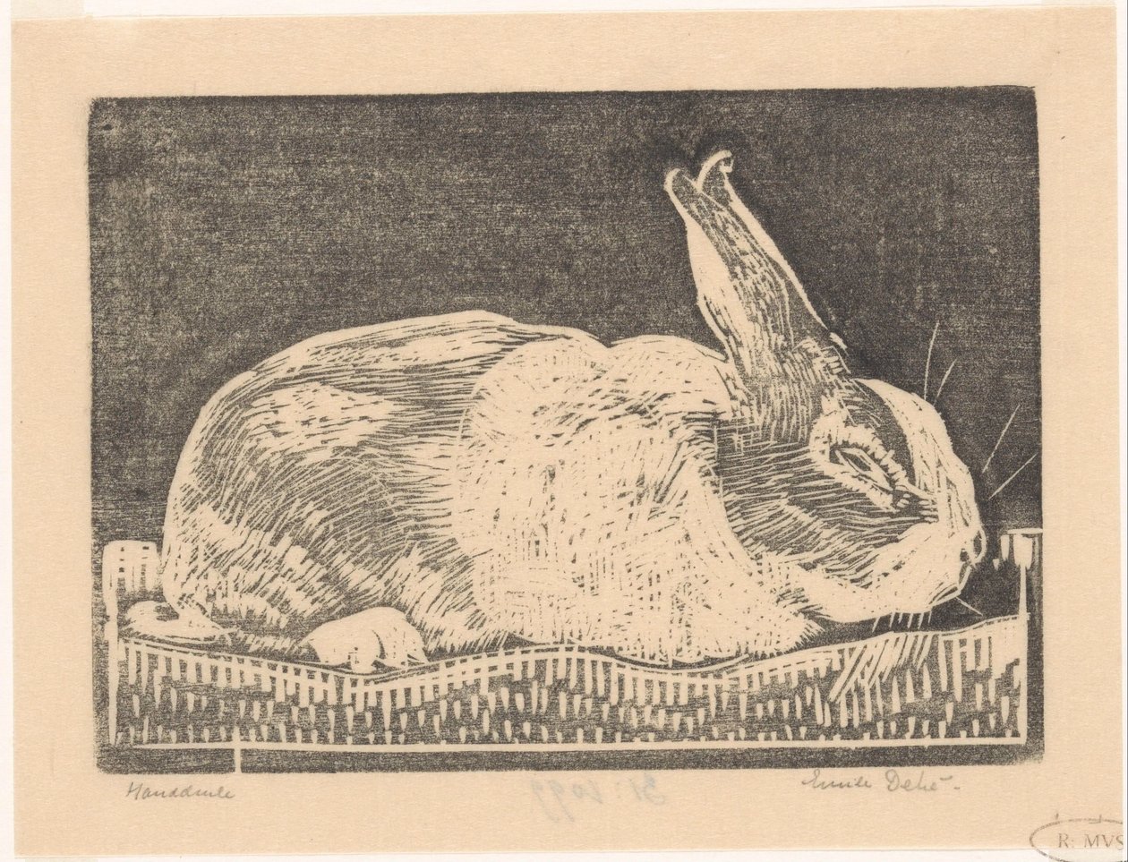 Kanin af Emilius Wilhelmus Dehé (signed by artist)