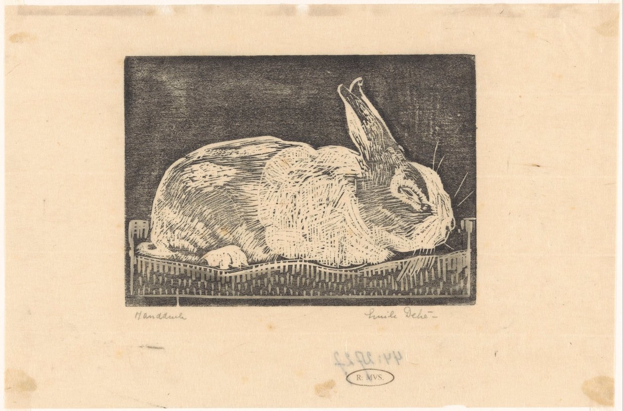 Kanin af Emilius Wilhelmus Dehé (signed by artist)