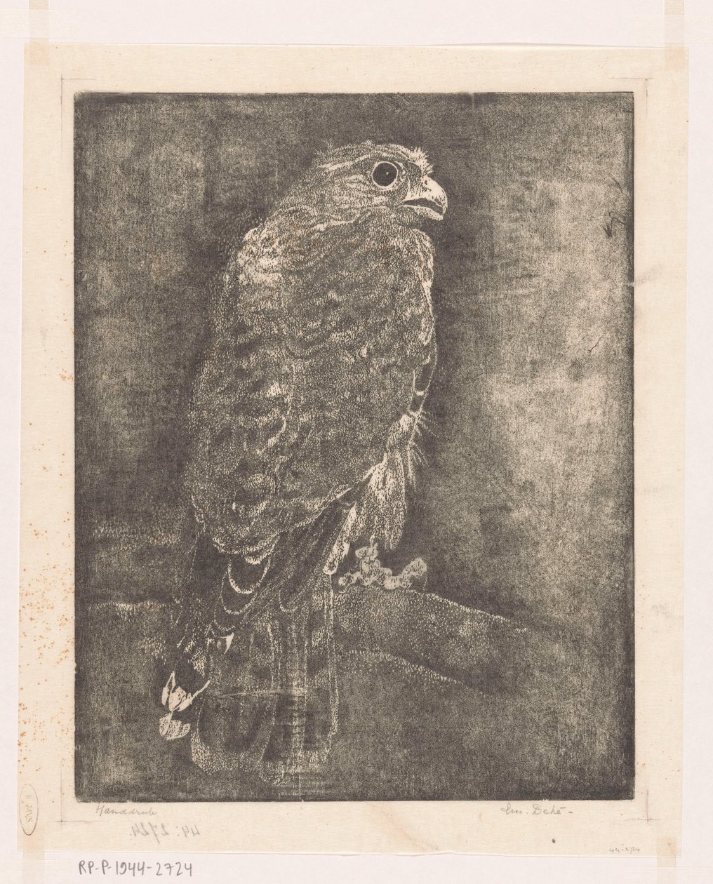 Falk på en gren af Emilius Wilhelmus Dehé (signed by artist)