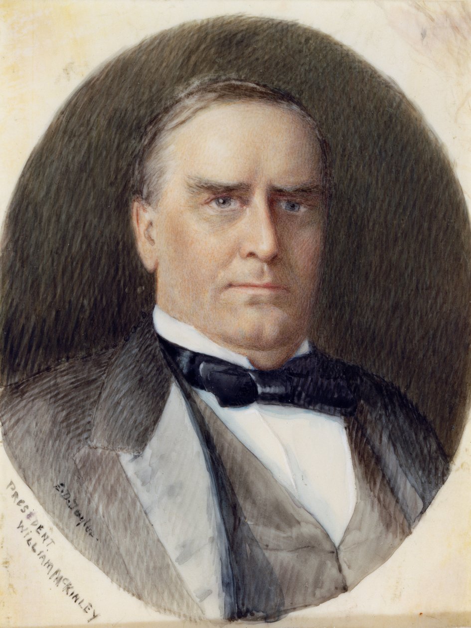 William McKinley af Emily Drayton Taylor