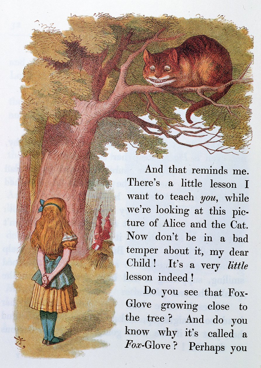 Alice og Cheshire-katten, illustration fra "Alice i Eventyrland", udgivet i London 1889 af Emily Gertrude Thomson