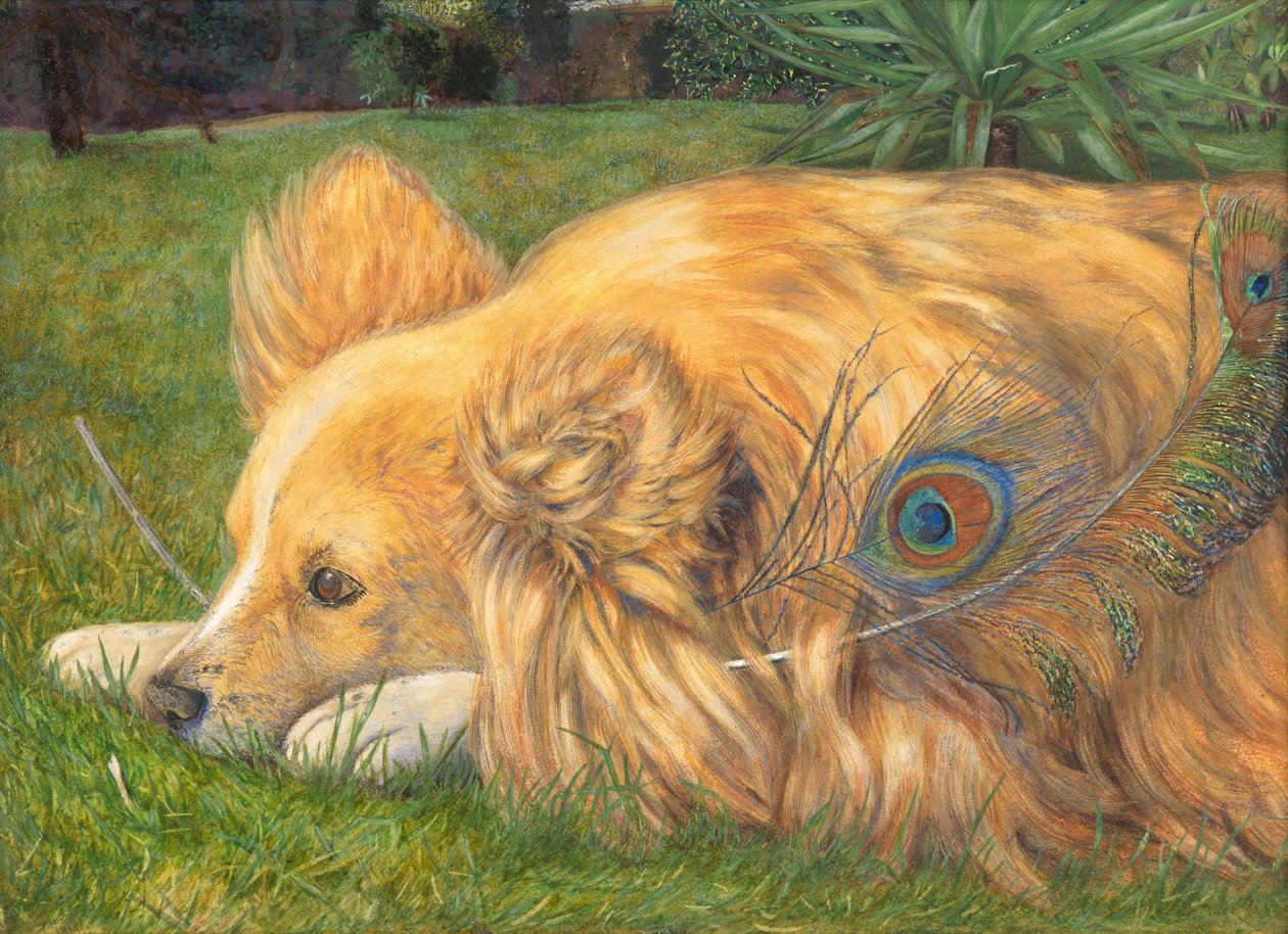 Jealous Jessie, 1861 (wc over blyantspor forstærket med bodycolour og udkradsning) af Emily and Hunt, William Holman Hunt