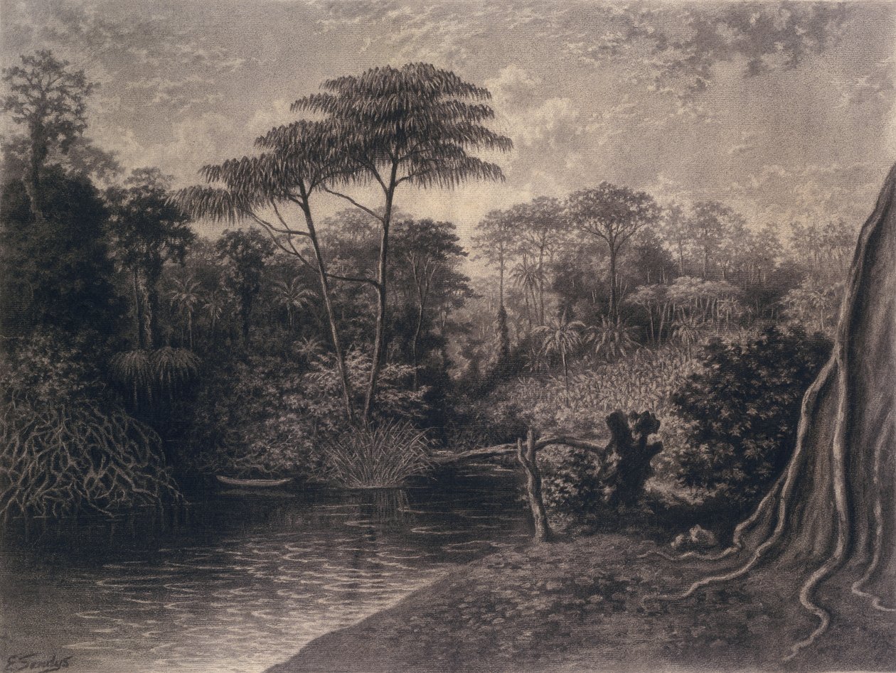 Udsigt over Cameroun-floden, Ambes Bay, Afrika, 1877 (kul på papir) af Emma Sandys