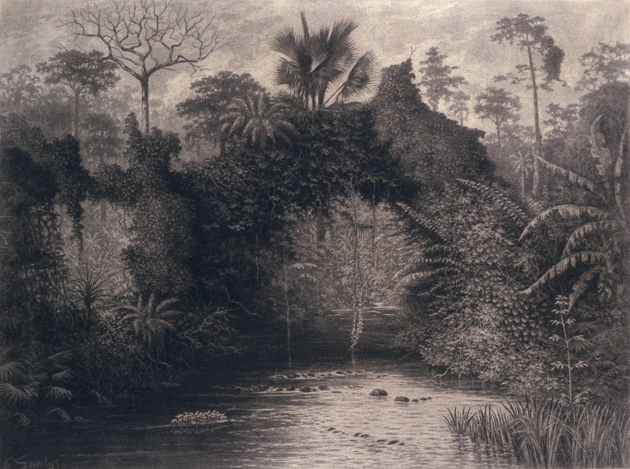 Udsigt over Biafrabugten, Vestafrika, 1877 (kul på papir) af Emma Sandys