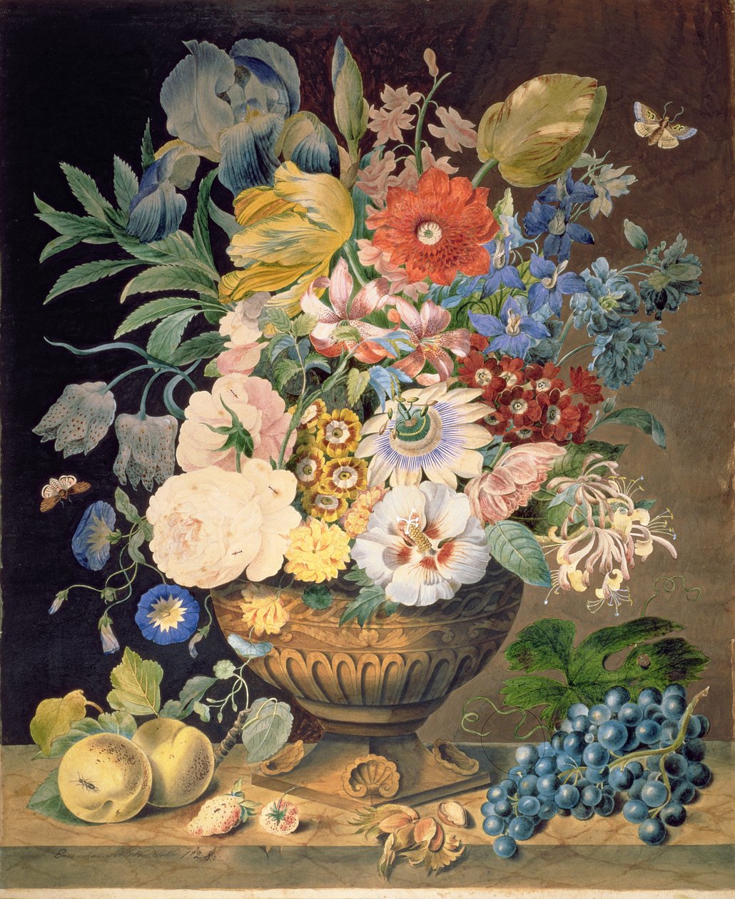 Blomster og frugter, 1828 (wc på papir) af Emma Sillett