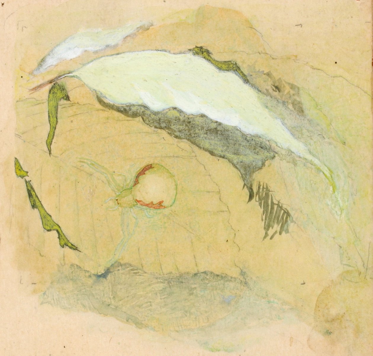 Porcelæn-hvid edderkop, slutningen af det 19.-begyndelsen af det 20. århundrede. af Emma Beach Thayer