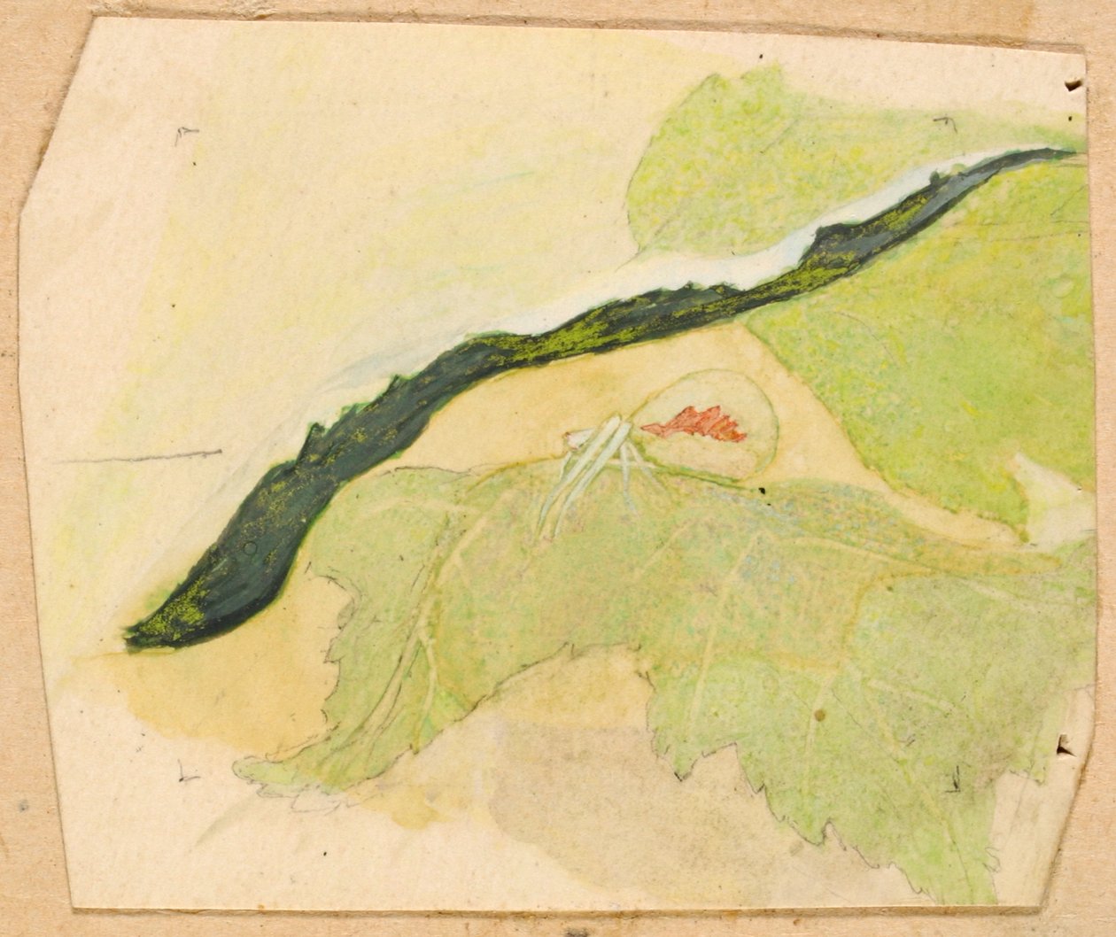 Porcelæn-hvid edderkop, slutningen af det 19.-begyndelsen af det 20. århundrede. af Emma Beach Thayer