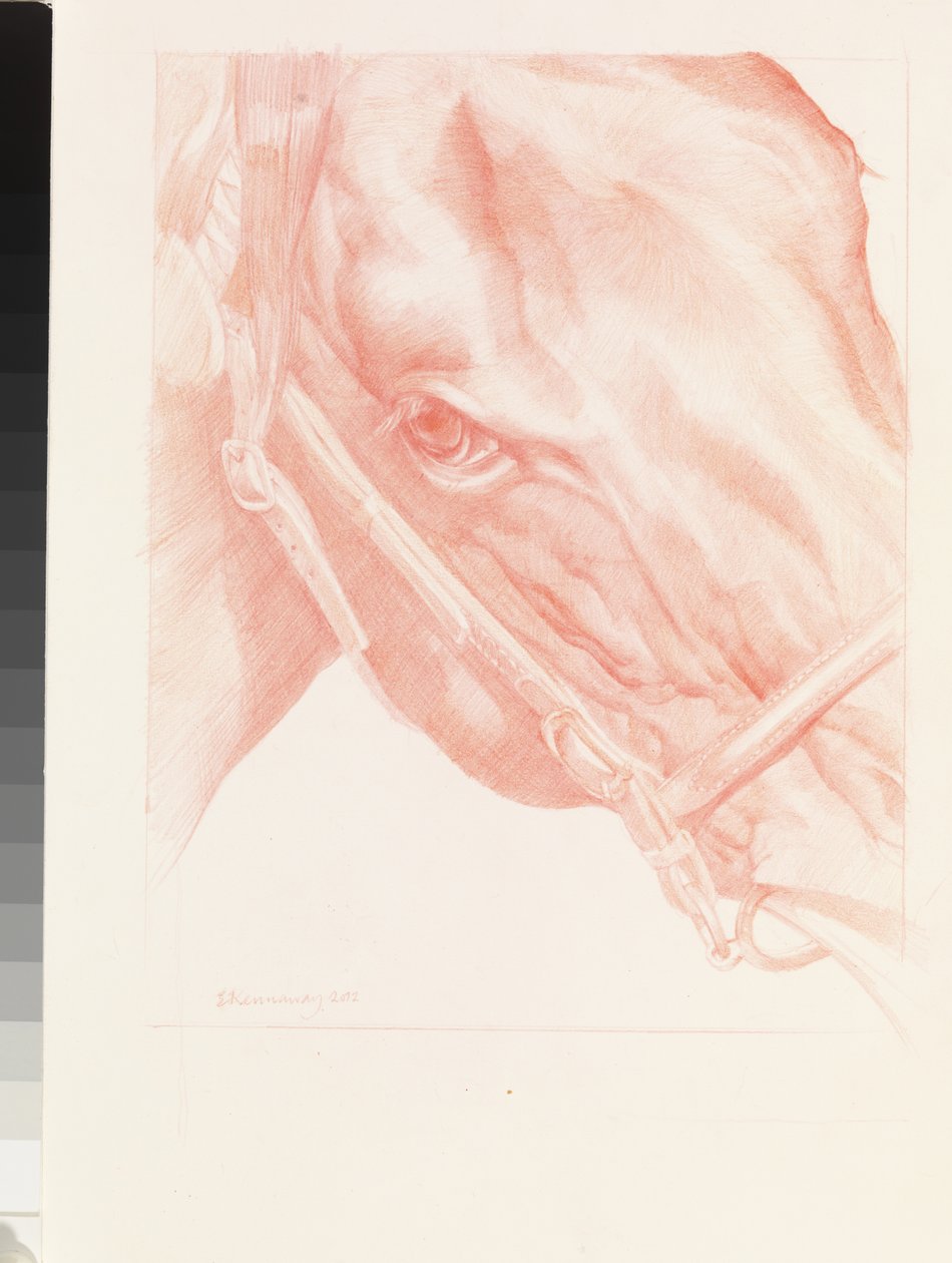 Portræthoved, 2012 (rødt kridt på papir) af Emma Kennaway
