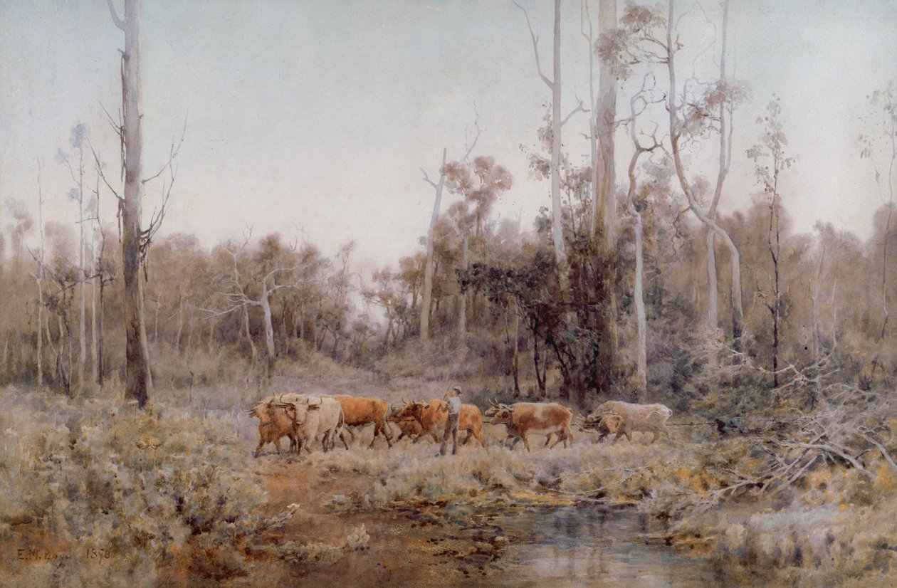 Bullock-holdet af Emma Minnie Boyd