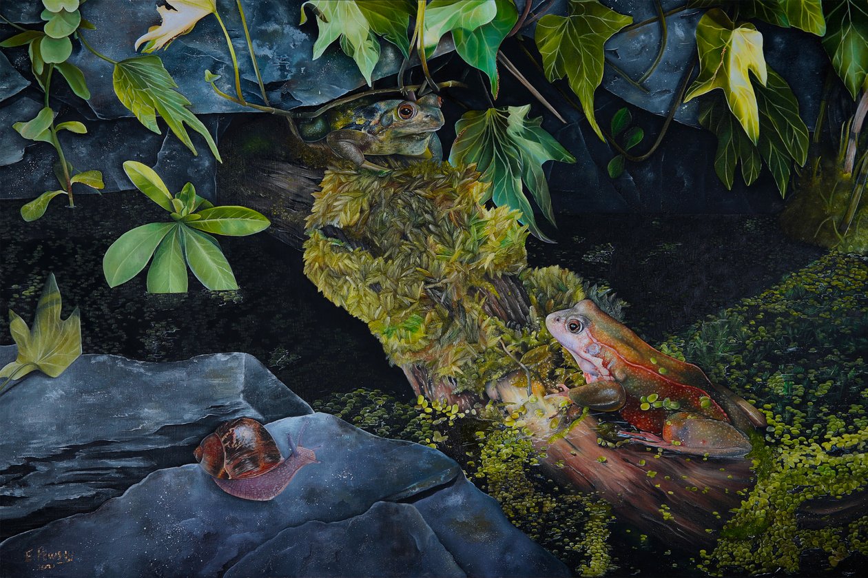 Pond Life, 2021 (olie på lærred) af Emma Pewsey