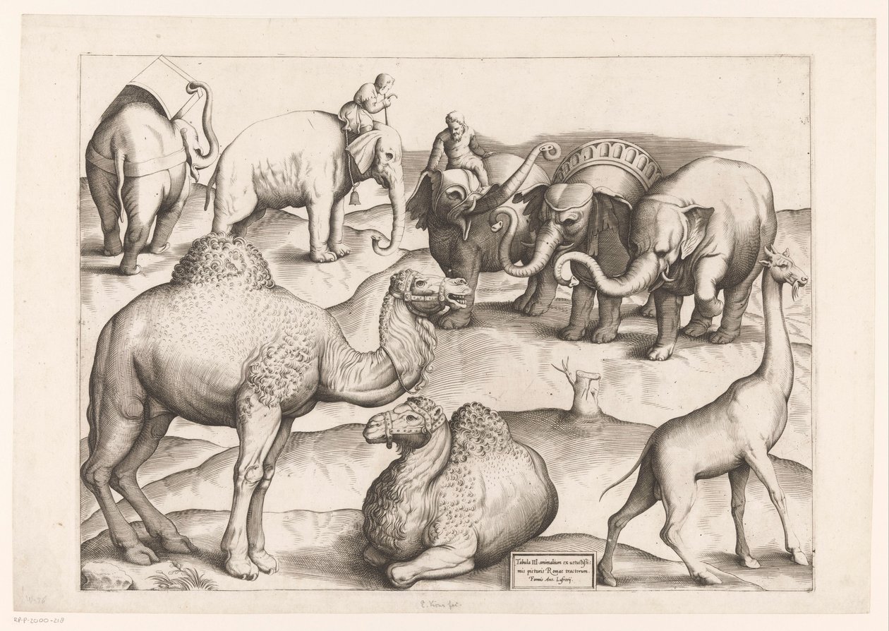 Otte dyr Dyr til antikke vægmalerier (serietitel) Speculum Romanae Magnificentiae (serietitel) af Enea Vico (attributed to)