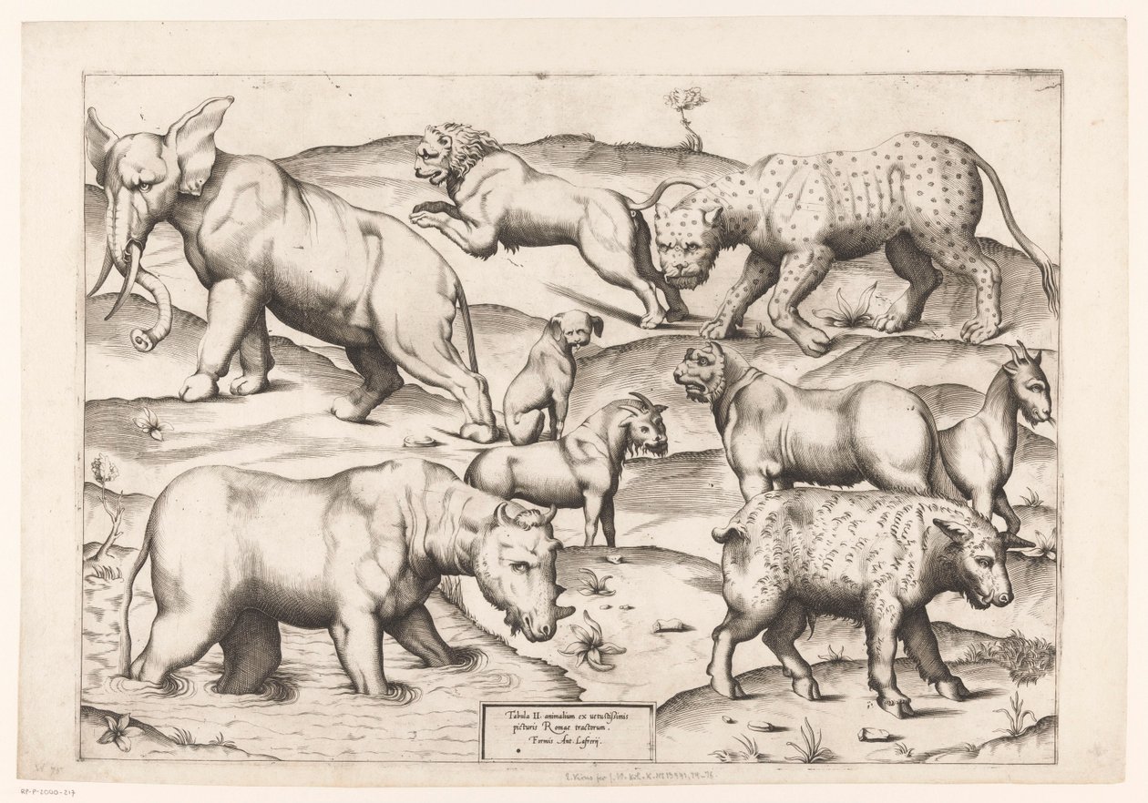 Ni dyr Dyr til antikke vægmalerier (serietitel) Speculum Romanae Magnificentiae (serietitel) af Enea Vico (attributed to)