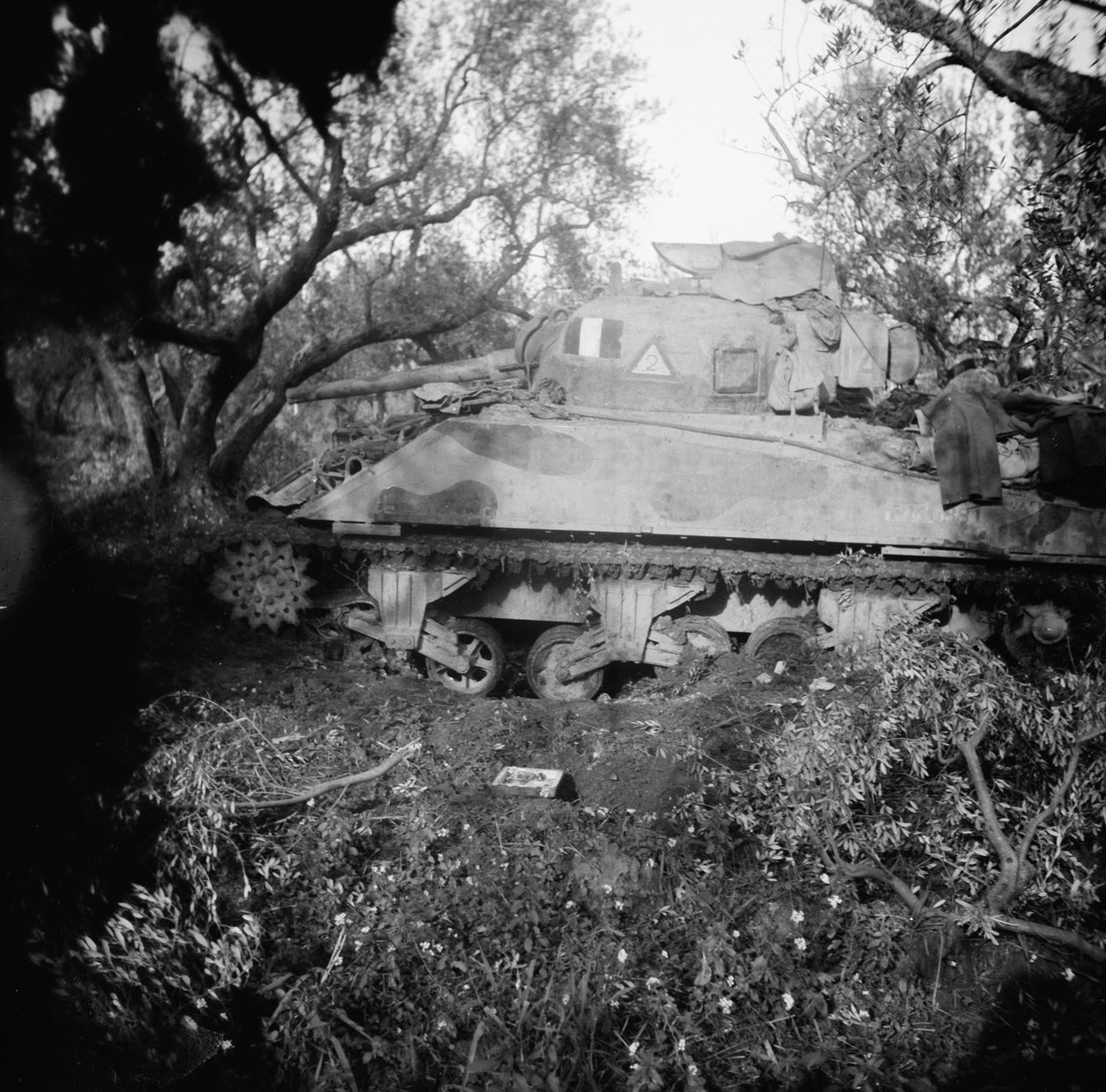 2Tp tank blæst på minefelt, ca. 1944 af English Photographer