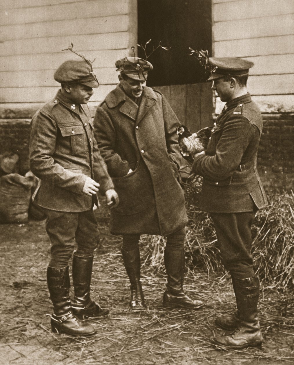 En typisk britisk gruppe: Mistelten-bærende soldater og en kylling til jul, illustration fra The Illustrated War News (sepiafoto) af English Photographer