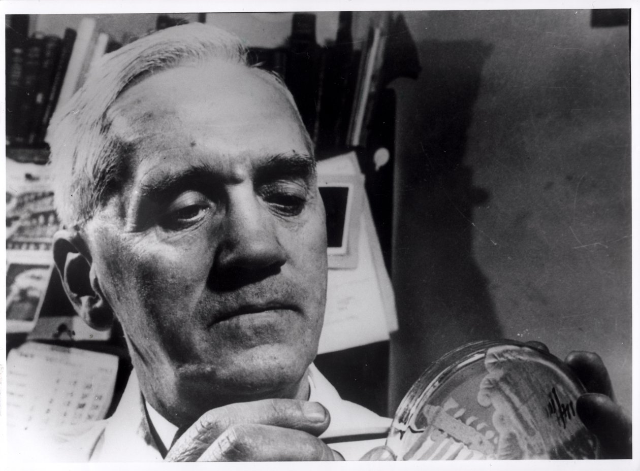 Alexander Fleming (1881-1955) c.1945 af English Photographer