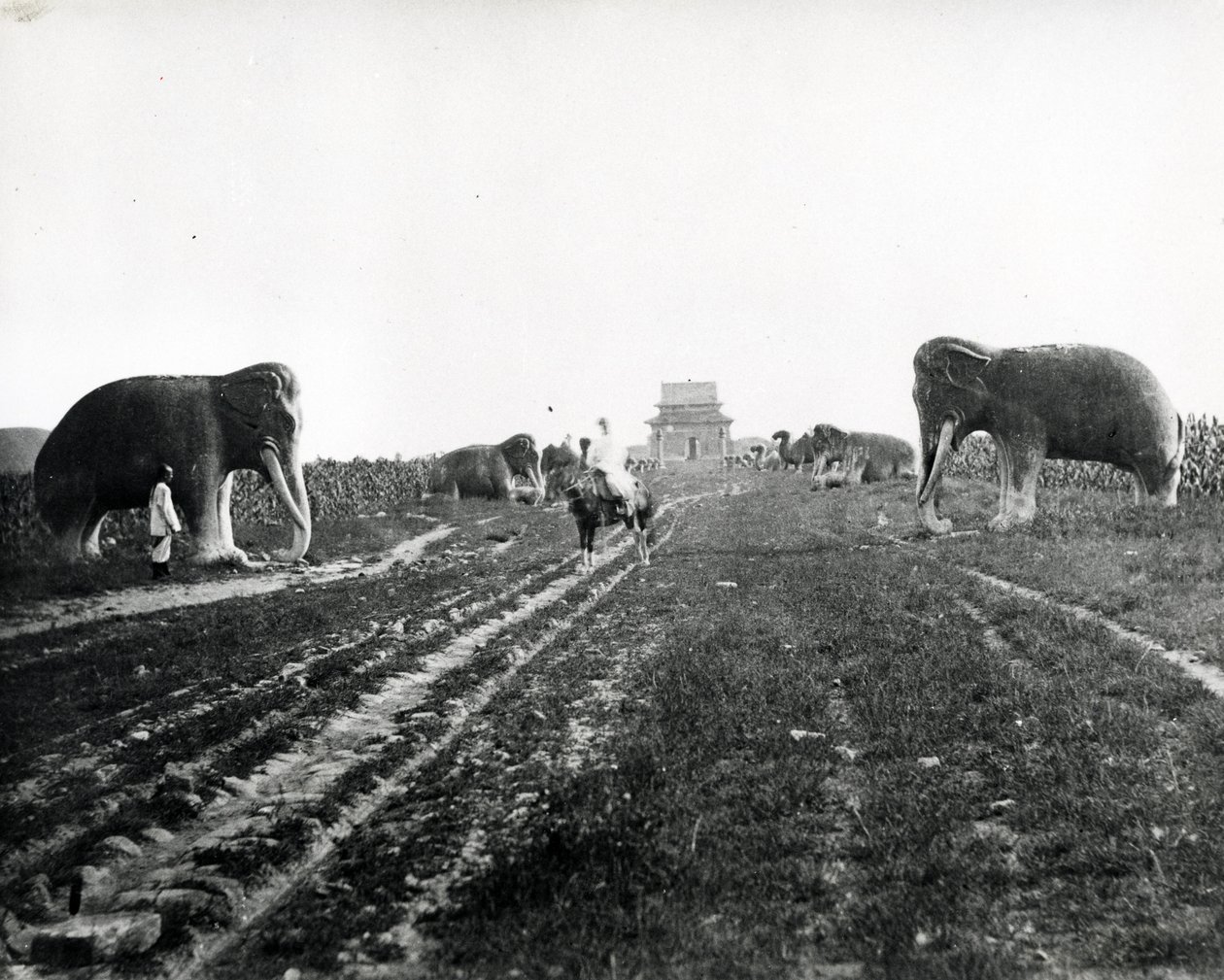 Avenue of Guardian Animals Leading to the Ming Tombs, Peking, ca. 1868-70 af English Photographer