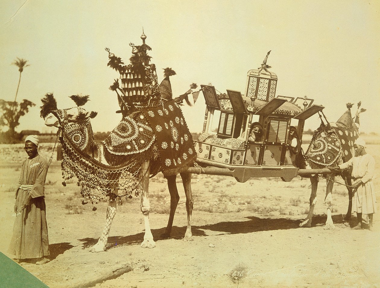 Brude Palanquin, Cairo, Egypten, ca. 1878 af English Photographer