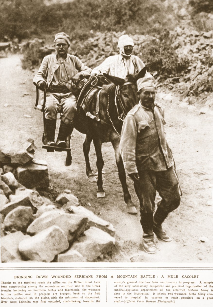 Nedbringelse af sårede serbere fra et bjergslag: en muldyrkacolet, illustration fra The Illustrated War News, september 1916 (sepia-foto) af English Photographer