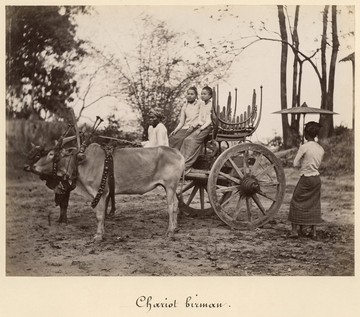 Vogn trukket af to okser i Mandalay, Burma, ca. 1885 (albumin print fra et glasnegativ) af English Photographer