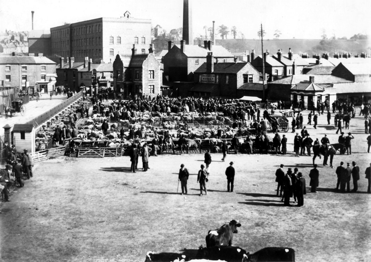 Kvæg- og engrosmarked, Kidderminster, 1900 af English Photographer