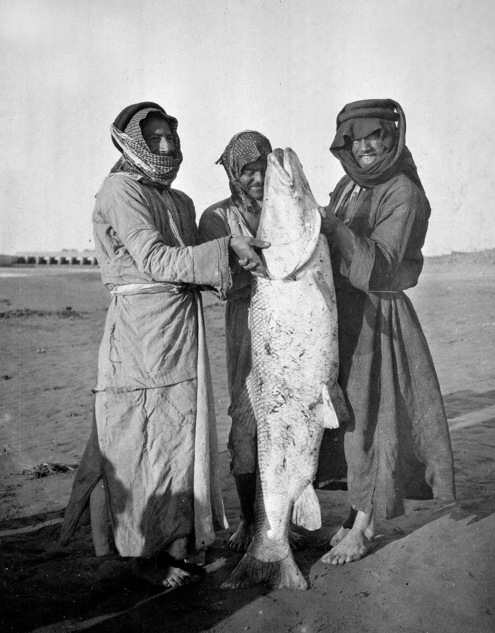 Civile arabere med en stor fisk, 1914-18 af English Photographer