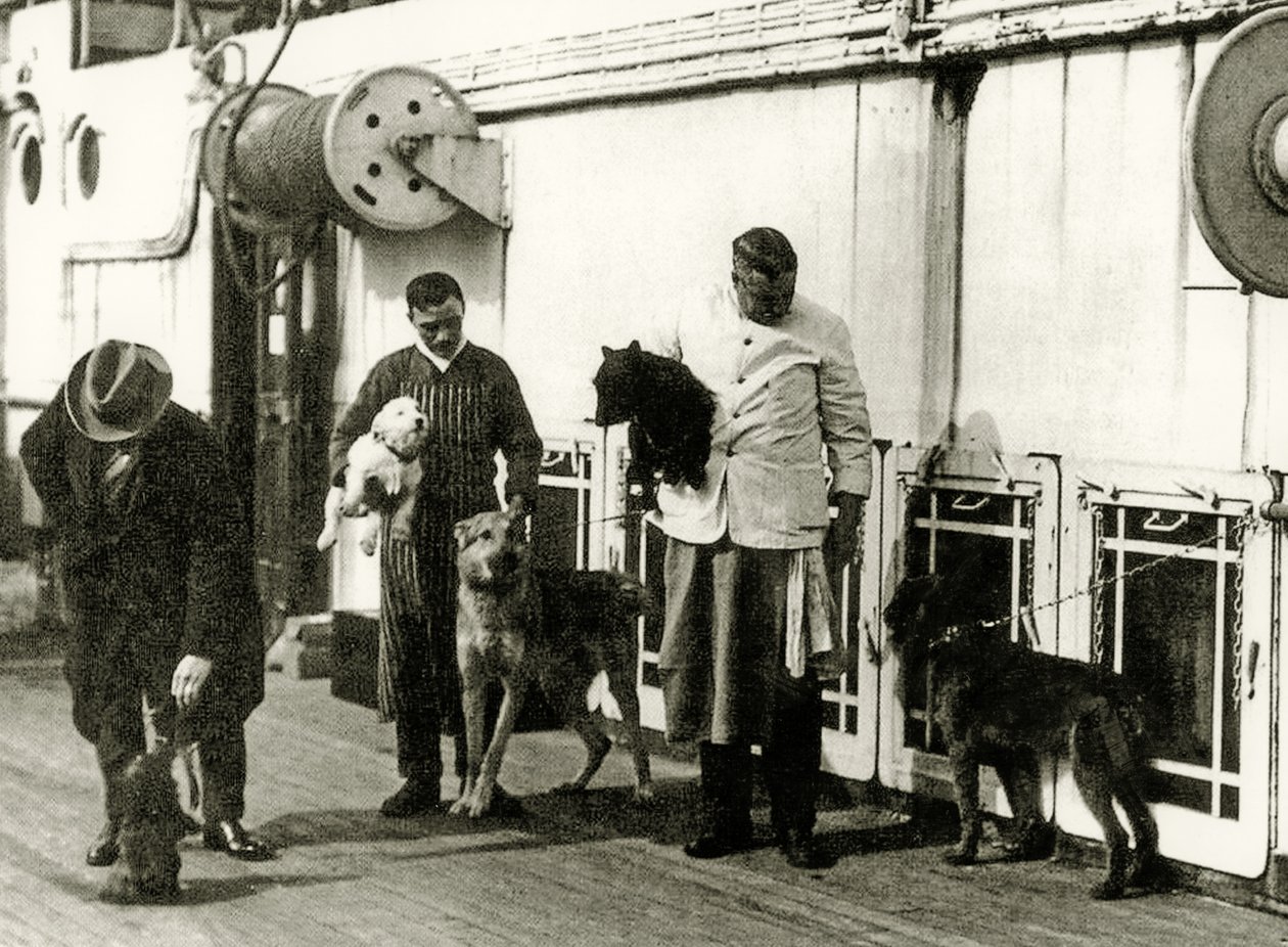 Hunde bliver passet af medlemmer af besætningen på Titanic, 1912 af English Photographer