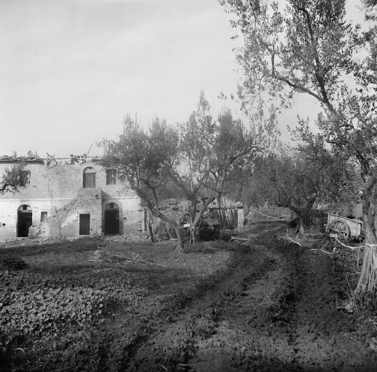 Indgang til banen gennem et minefelt, der fører op til Licolle Ridge, ca. 1944 af English Photographer