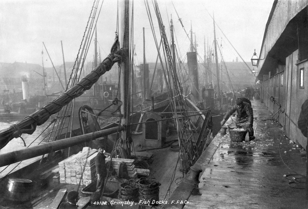 Fiskehavne, Grimsby, begyndelsen af det 20. århundrede af English Photographer