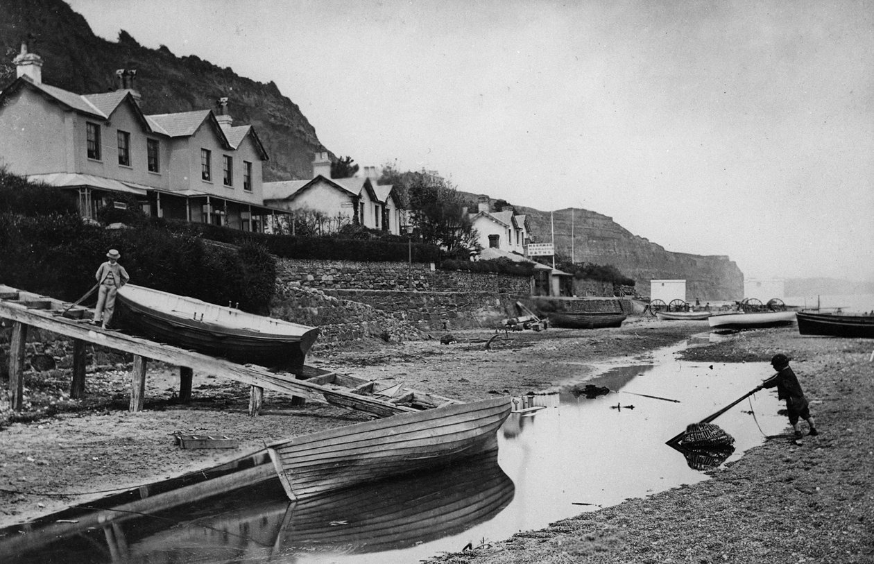 Ferskvand, Isle of Wight af English Photographer
