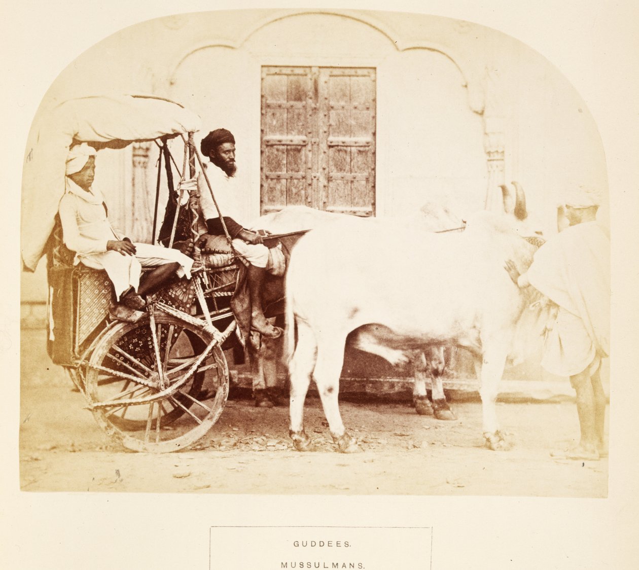 Guddees, Mussulmans, Rajpootana, fra The People of India, af J. Forbes Watson, udgivet 1868 (albummet tryk) af English Photographer