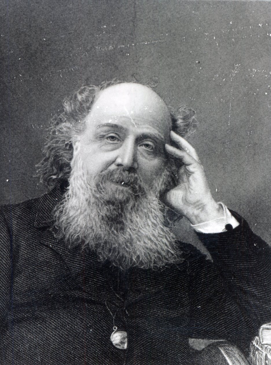 James Joseph Sylvester, graveret af George J. Stodart af English Photographer