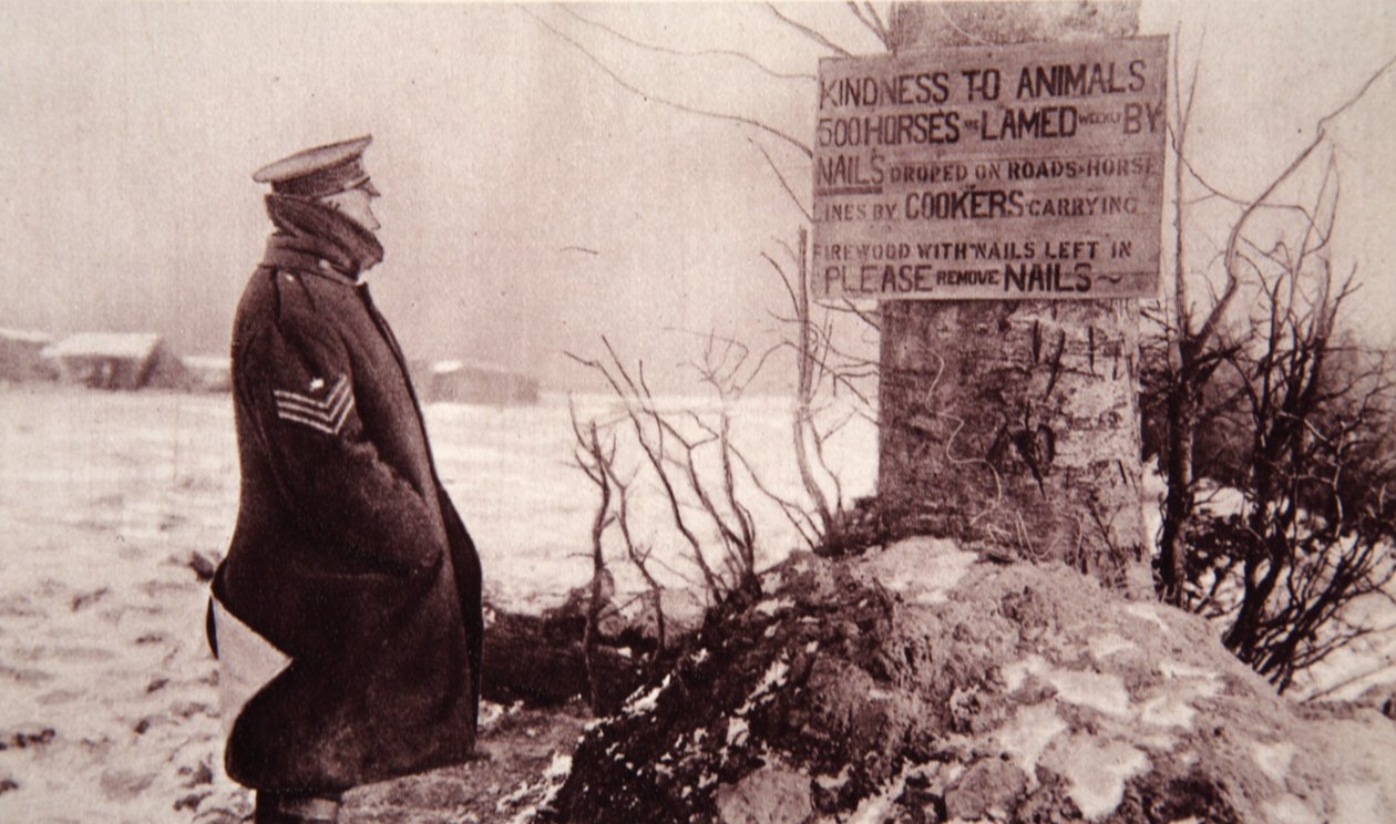 Kindness to Animals, illustration fra The Illustrated War News, 7. februar 1917 (sepia-foto) af English Photographer