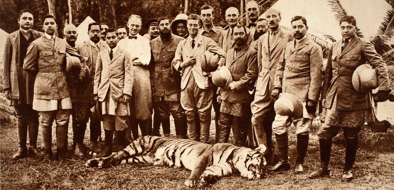 Kong Edward VIIIs første tiger, 1921 af English Photographer