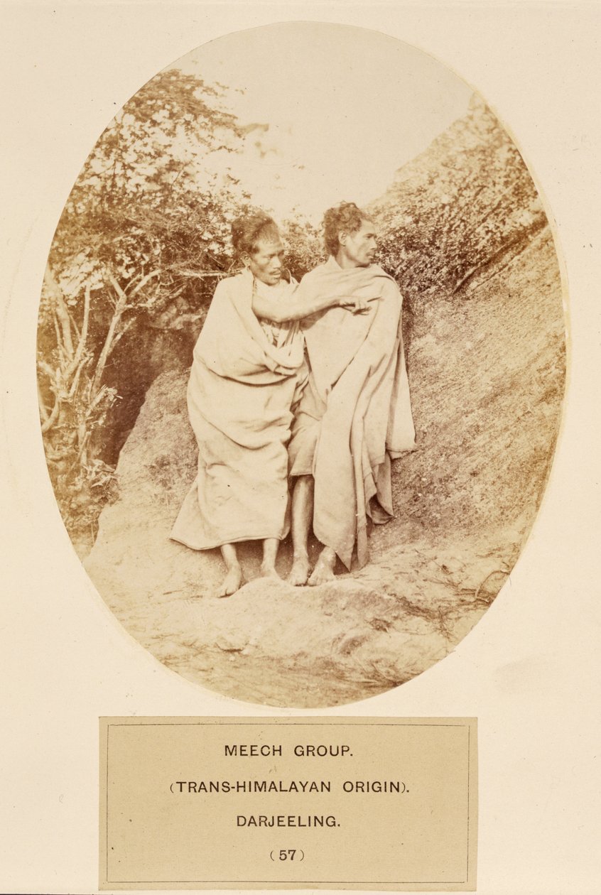 Meech Group (transhimalayisk oprindelse), Darjeeling, fra The People of India, af J. Forbes Watson, udgivet 1868 (albumenprint) af English Photographer