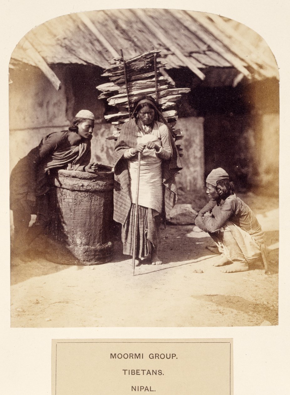 Moormi Group, Tibetans, Nipal, fra The People of India, af J. Forbes Watson, udgivet 1868 (albummet tryk) af English Photographer