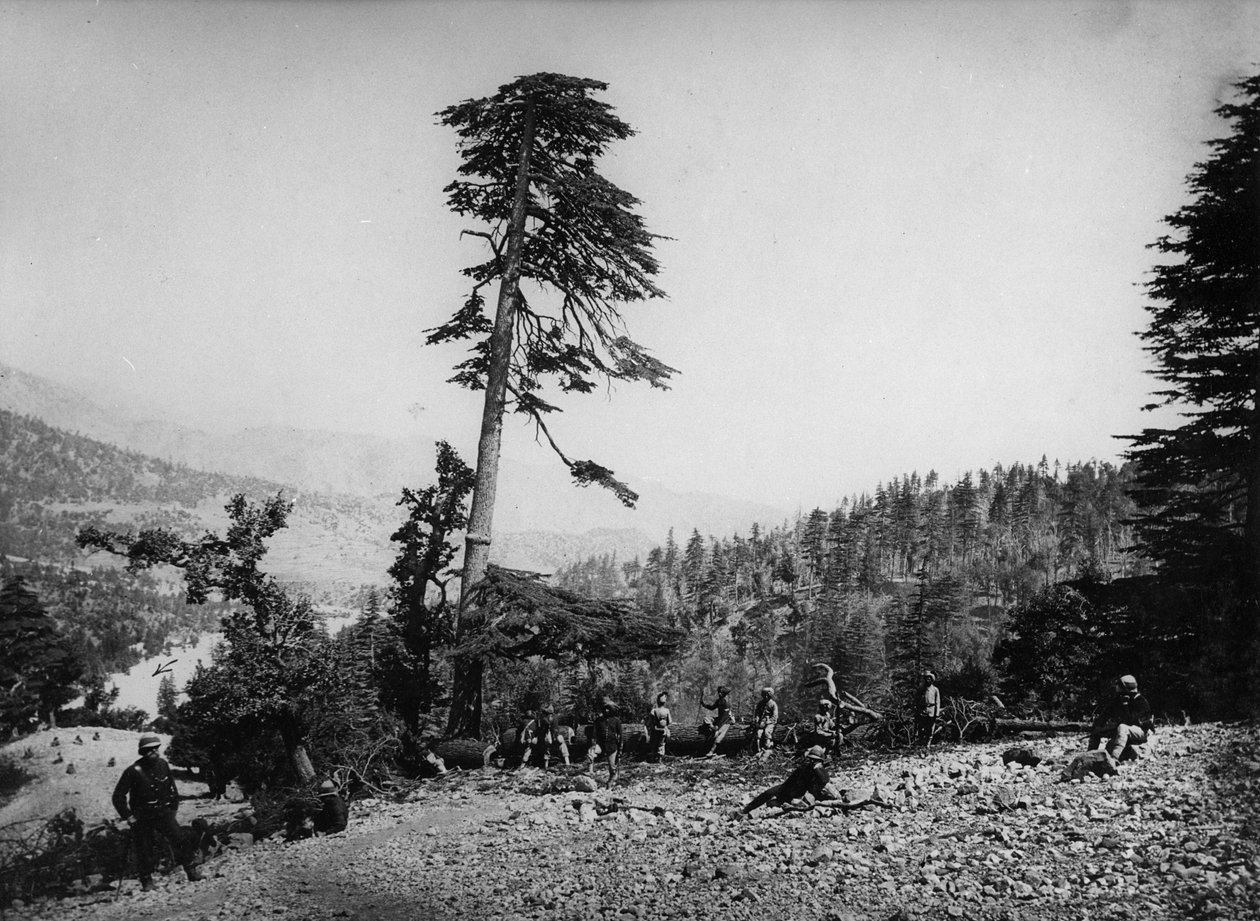 Indfødte og britiske soldater hvilede under den anden anglo-afghanske krig, 1878-80 af English Photographer