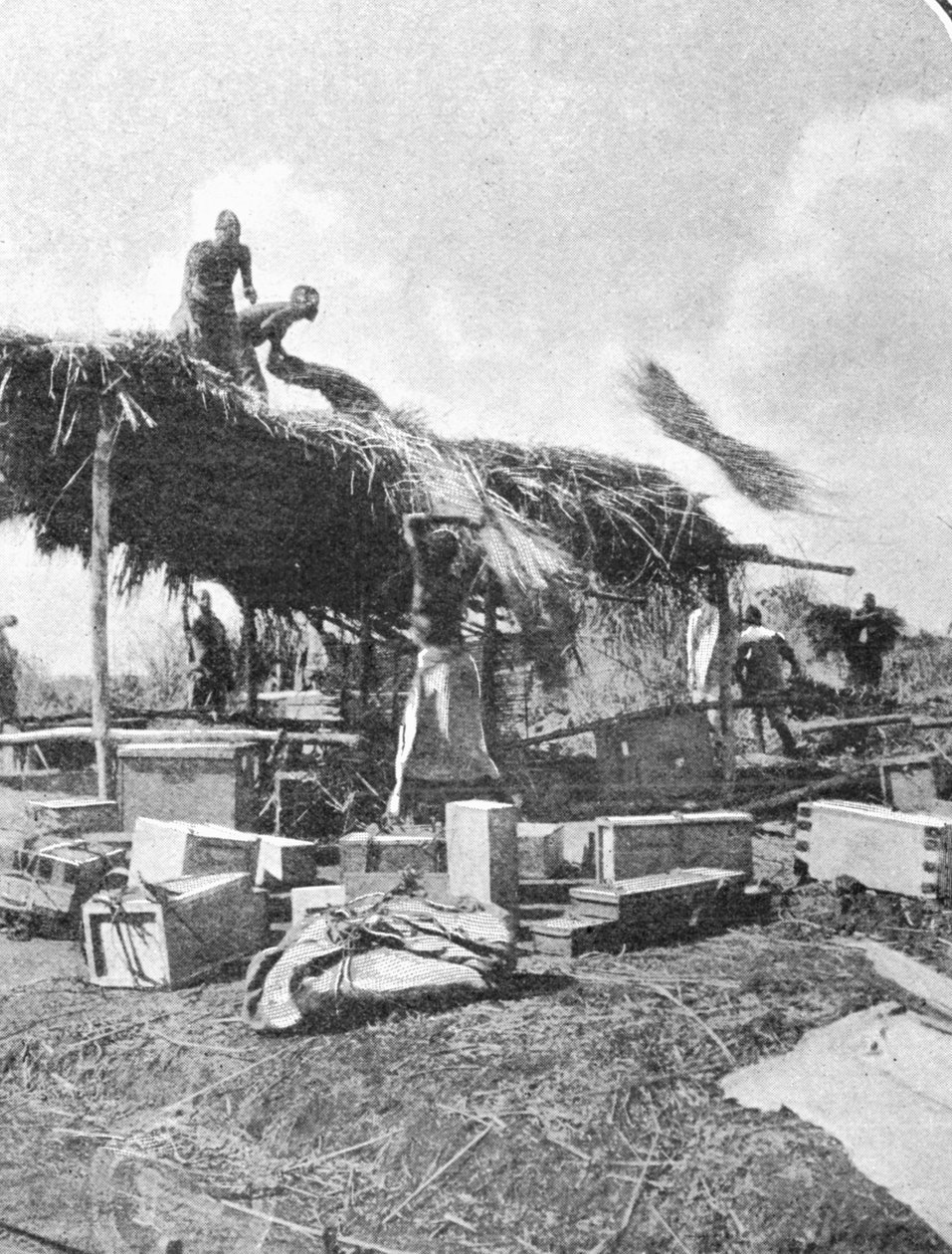 Natives Building a Rest-House, fra en artikel med titlen To the Mountains of the Moon offentliggjort i The Graphic 27. oktober 1906 af English Photographer