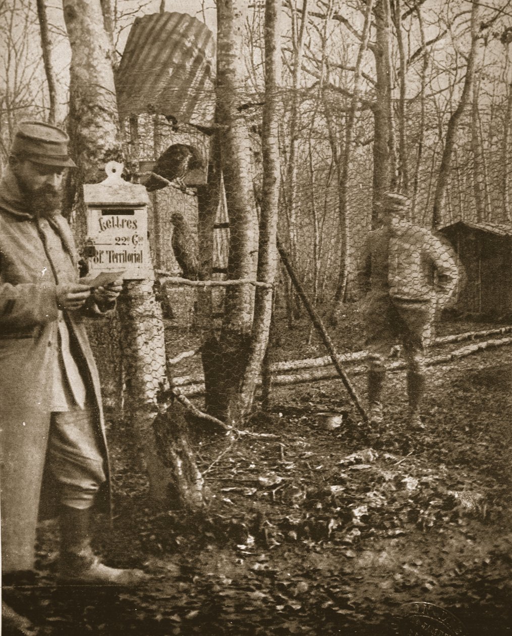 På den franske Lorraine-front: A Poilus Camp-brevkasse og musvågemaskoter, illustration fra The Illustrated War News (seppia-foto) af English Photographer
