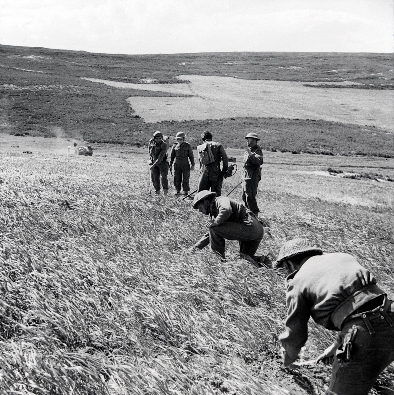 Sappers fra 237 Field Company, Royal Engineers, rydder et minefelt i kølvandet på First Armys angreb på Toukabeur og Chaouach, april 1943 af English Photographer