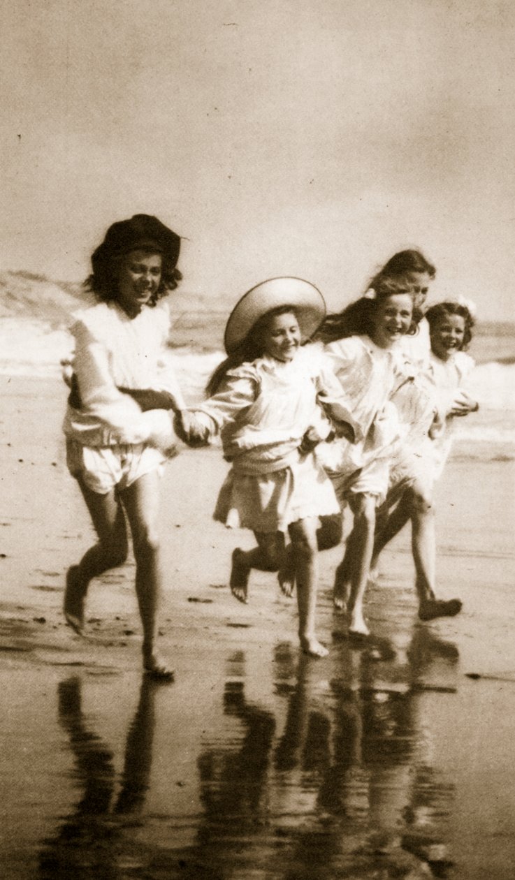 Søpindsvin (fotogravure) af English Photographer