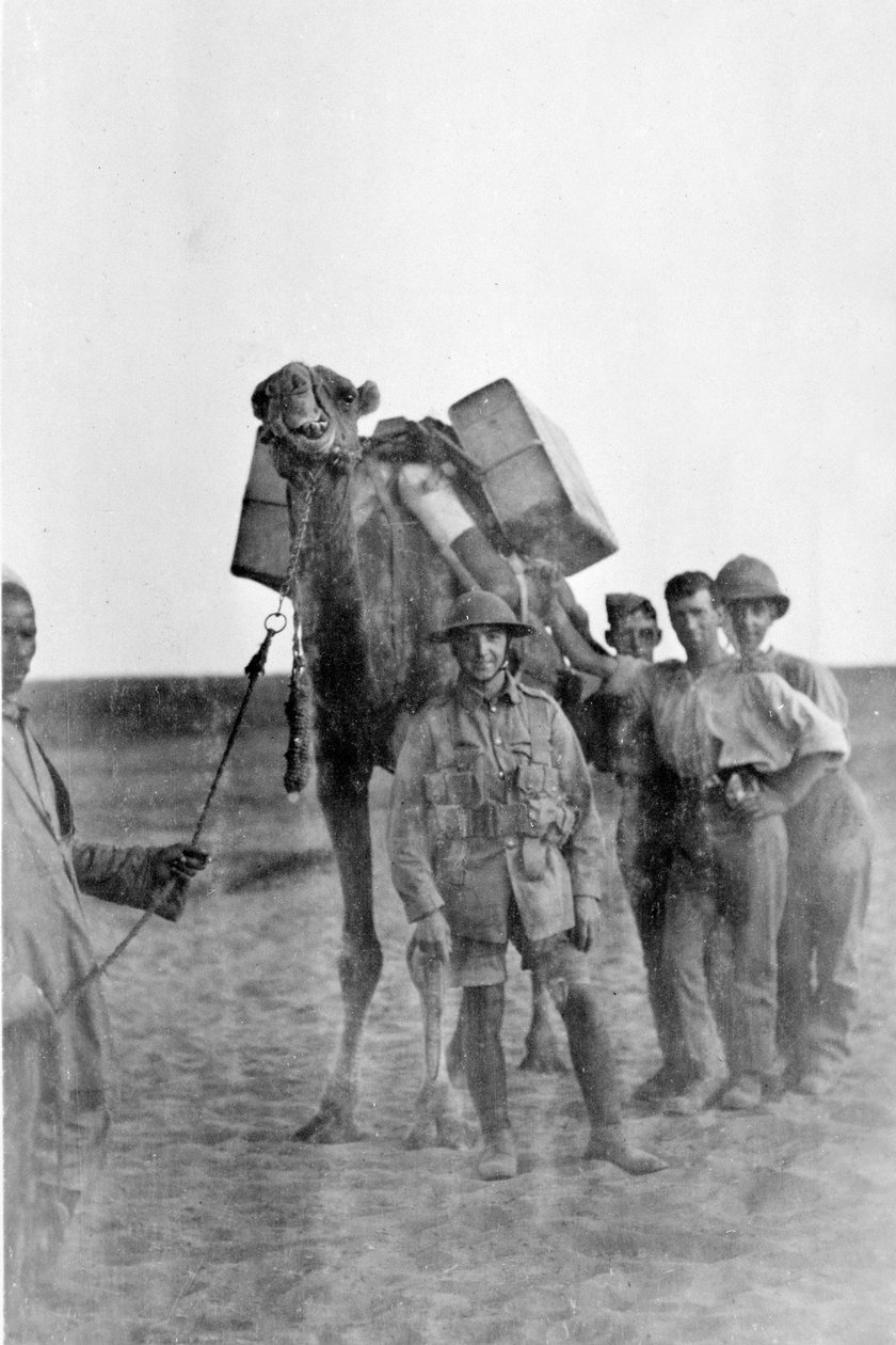Soldater i Mesopotamien under Første Verdenskrig af English Photographer