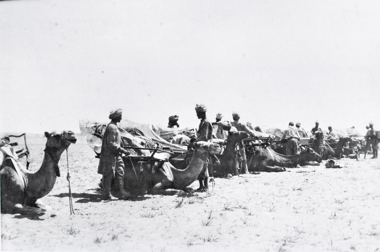 Soldater med kameler i Mesopotamien under Første Verdenskrig fra et album udarbejdet af Lt. Kindom af English Photographer