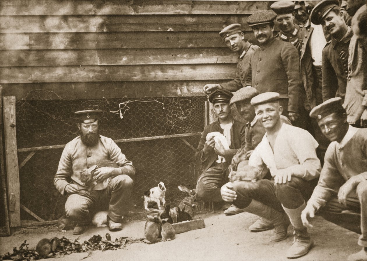 Some of the Prisoners Pets, Dorchester, illustration fra German Prisoners in Great Britain (fotogravure) af English Photographer