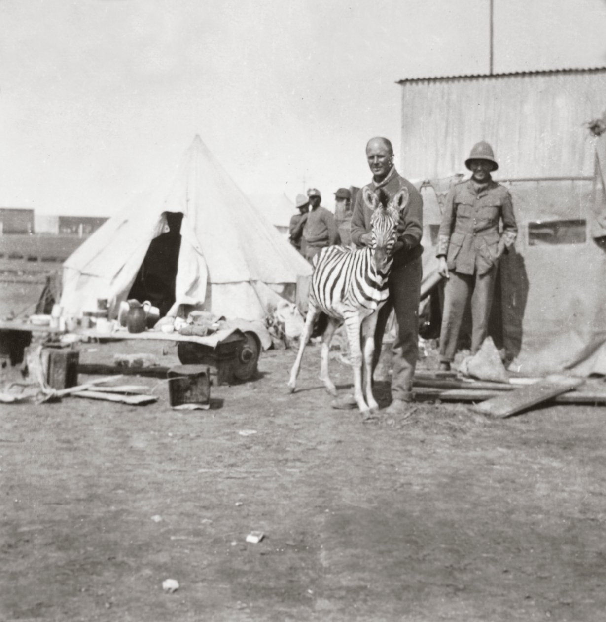 Sydafrikanske skytter med deres kæledyrszebra i Østafrika af English Photographer
