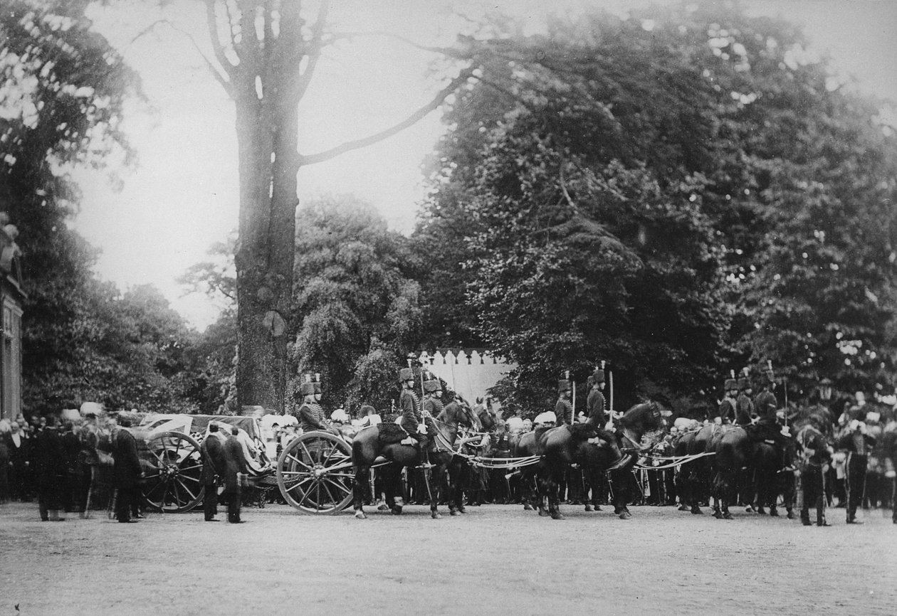 The Prince Imperials Funeral Cortege, Camden Place, 12. juli 1879 af English Photographer
