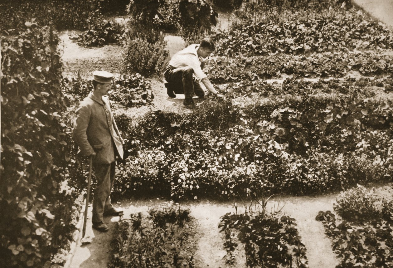 The Prisoners Gardens, Dorchester, illustration fra German Prisoners in Great Britain (fotogravure) af English Photographer