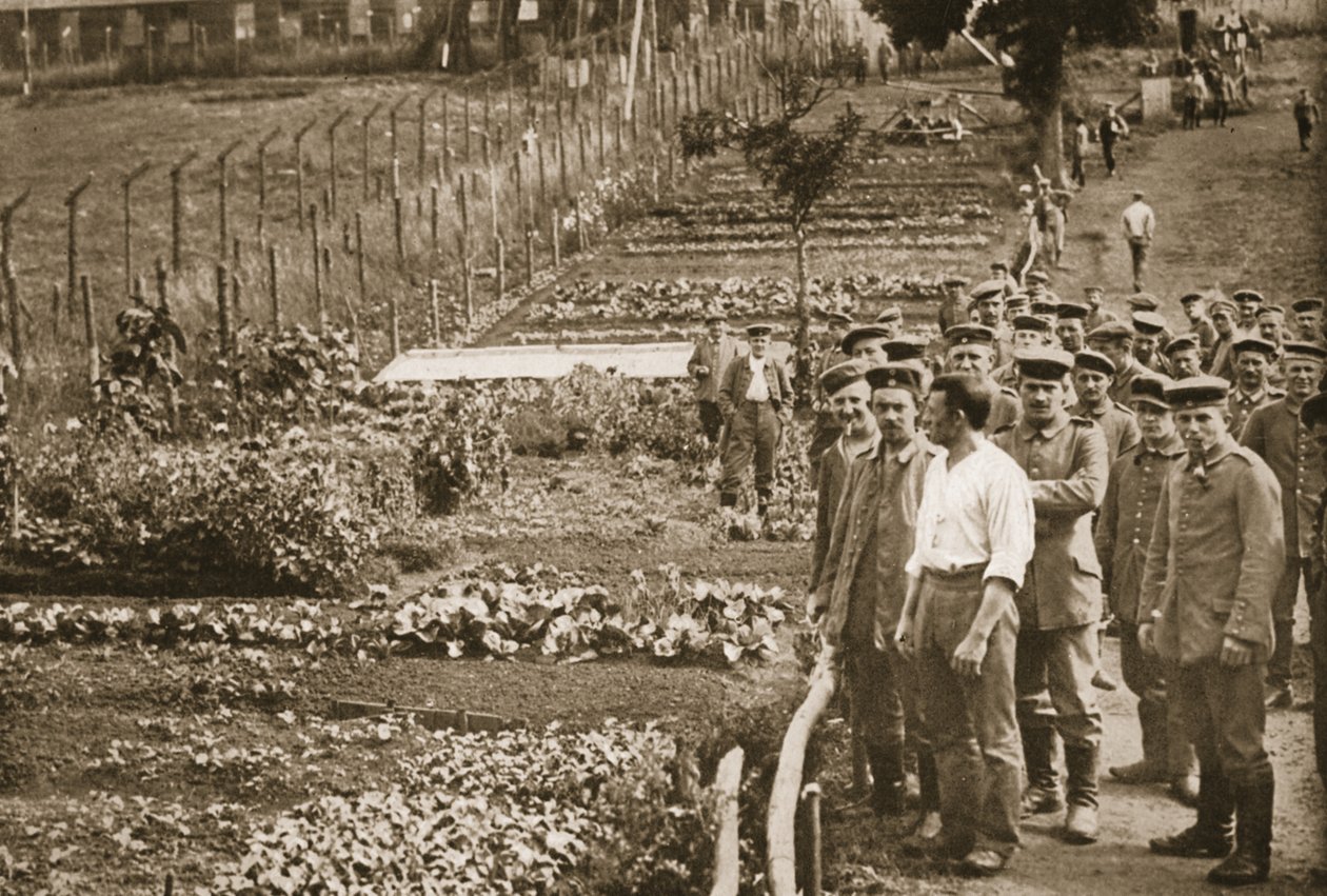 The Vegetable Garden, Eastcote, illustration fra tyske fanger i Storbritannien (fotogravure) af English Photographer