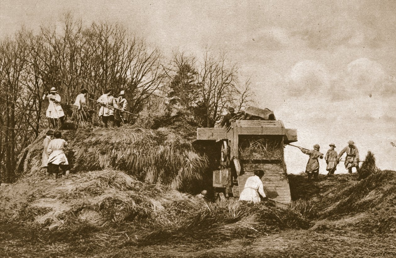 Træning af Womens Land Army i teori og praksis for alle grene af landbruget, 1914-19 af English Photographer
