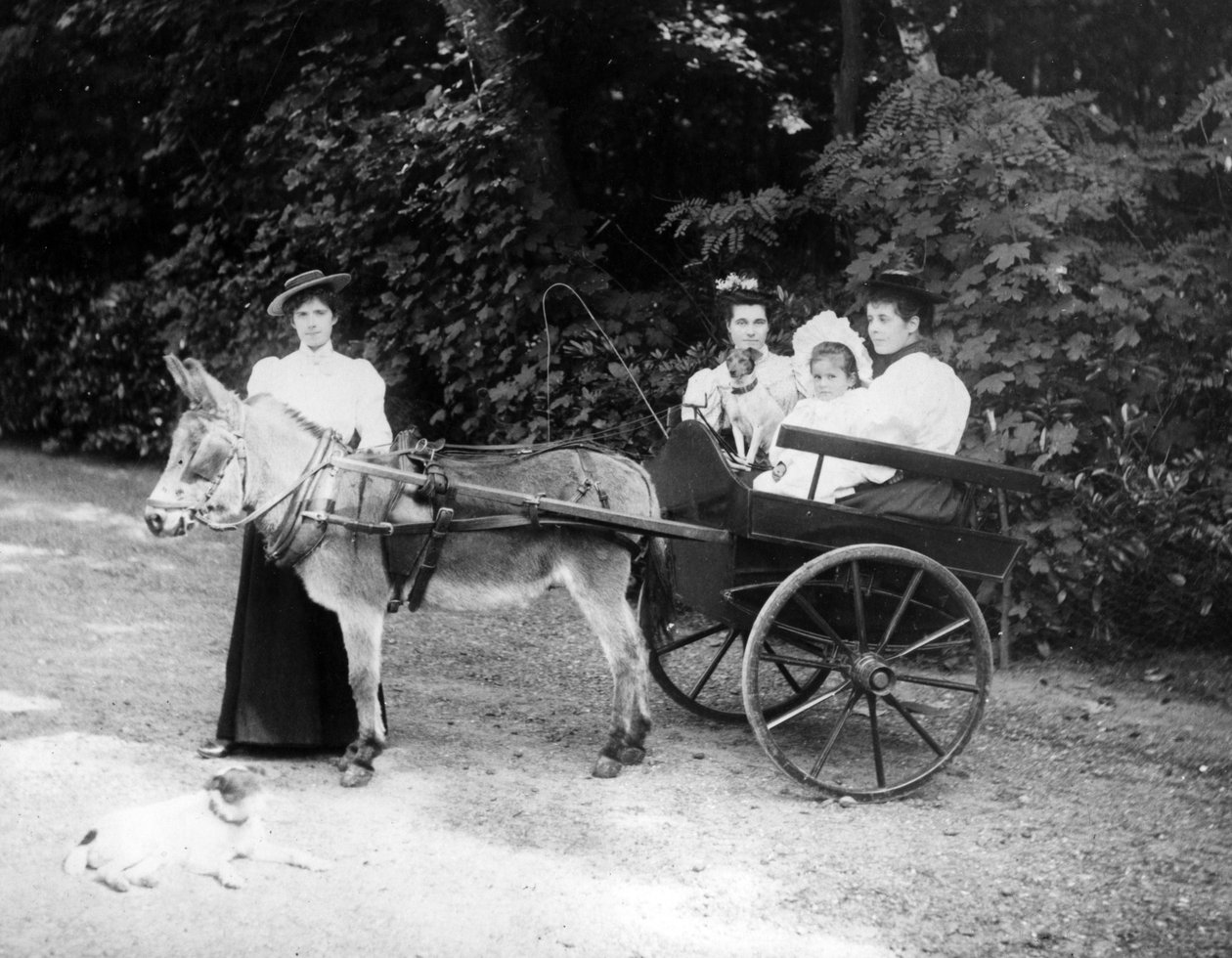 Victoriansk æselvogn, ca.1890 af English Photographer